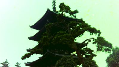 興福寺
