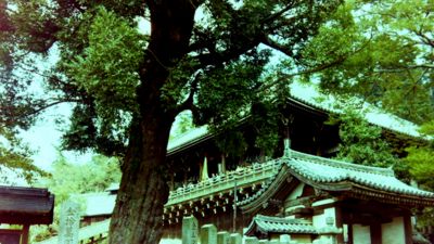 厛