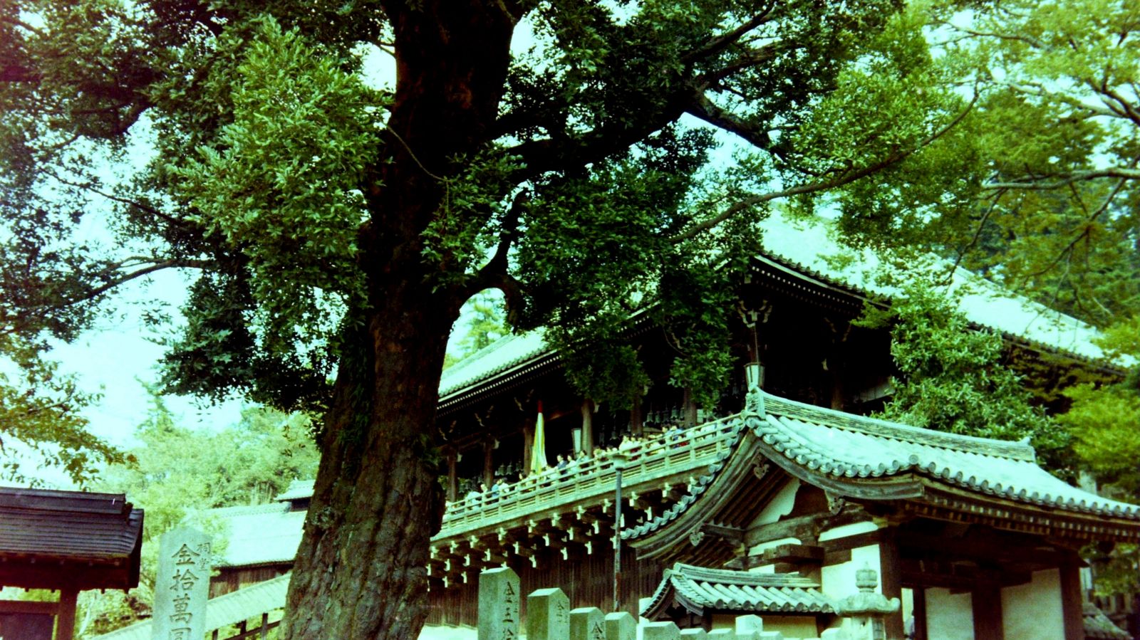 厛