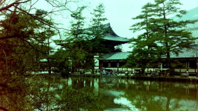 厛