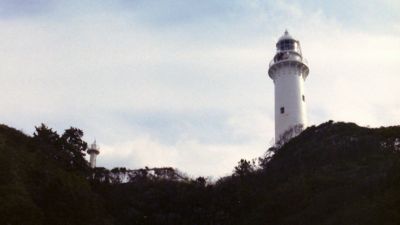 蓔