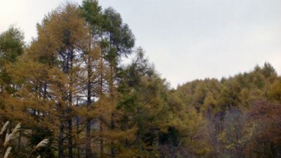 磐梯高原