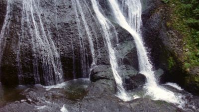 ܓc̑