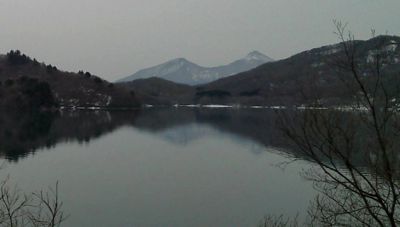 ȃXJCo[