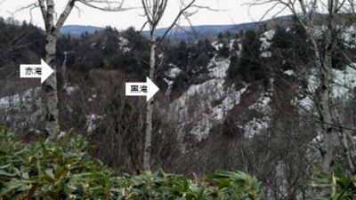 ȃXJCo[
