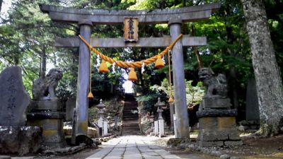 奈曽の白滝