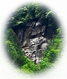 J̑