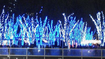 LED