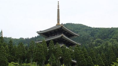 zO啧