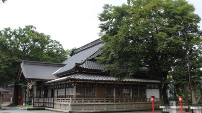 䗘s