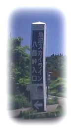 XJCC