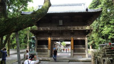 Ō莛