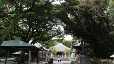 Ō莛
