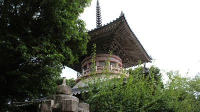 Ō莛