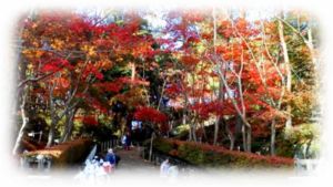 松雲山荘