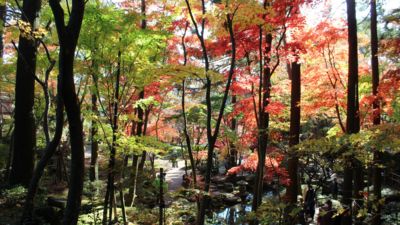 松雲山荘