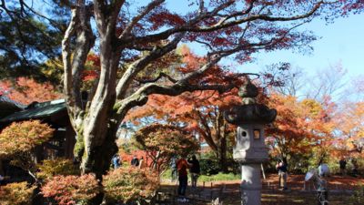 もみじ園