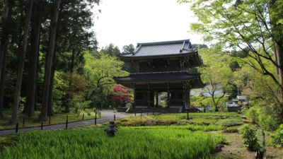 林泉寺