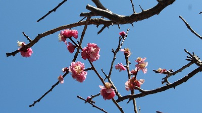 ώݎ