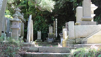 ϕ