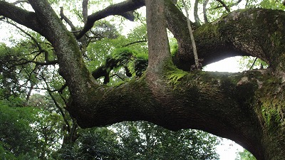 勻