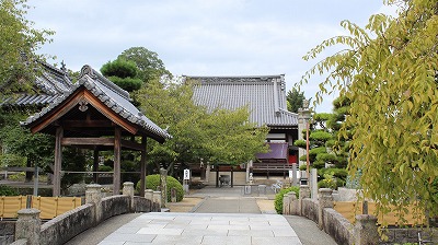 䶗