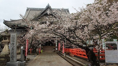 IO䎛