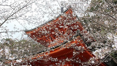 IO䎛