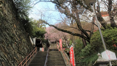 IO䎛