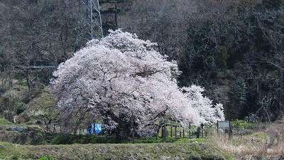 Ε
