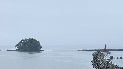 炭莞v