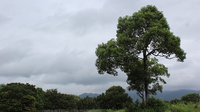 g샖j