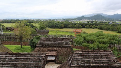 g샖j