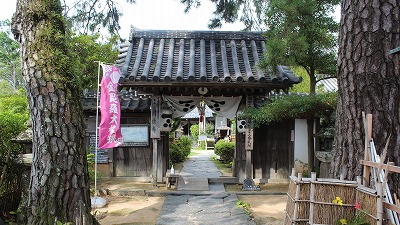 鉺