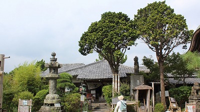 鉺