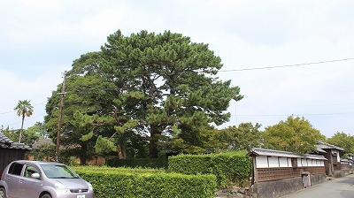 鉺