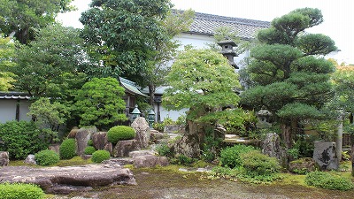 鉺