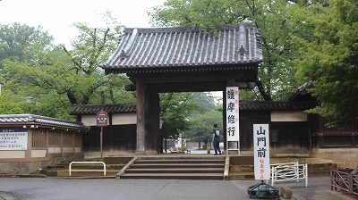 쑽@
