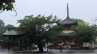 쑽@
