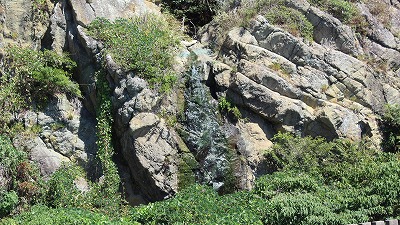 zOC