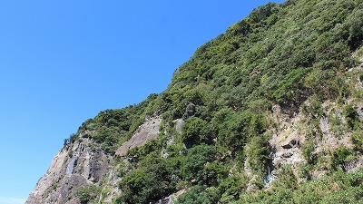 zOC