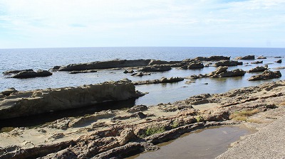 zOC