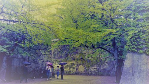 会津