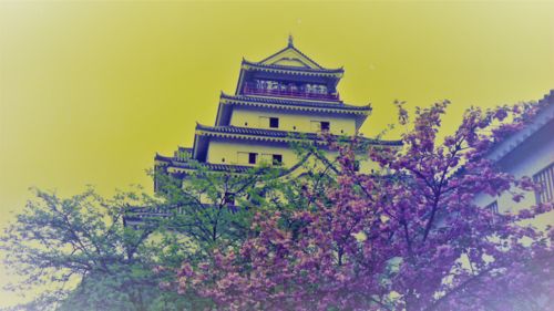 会津